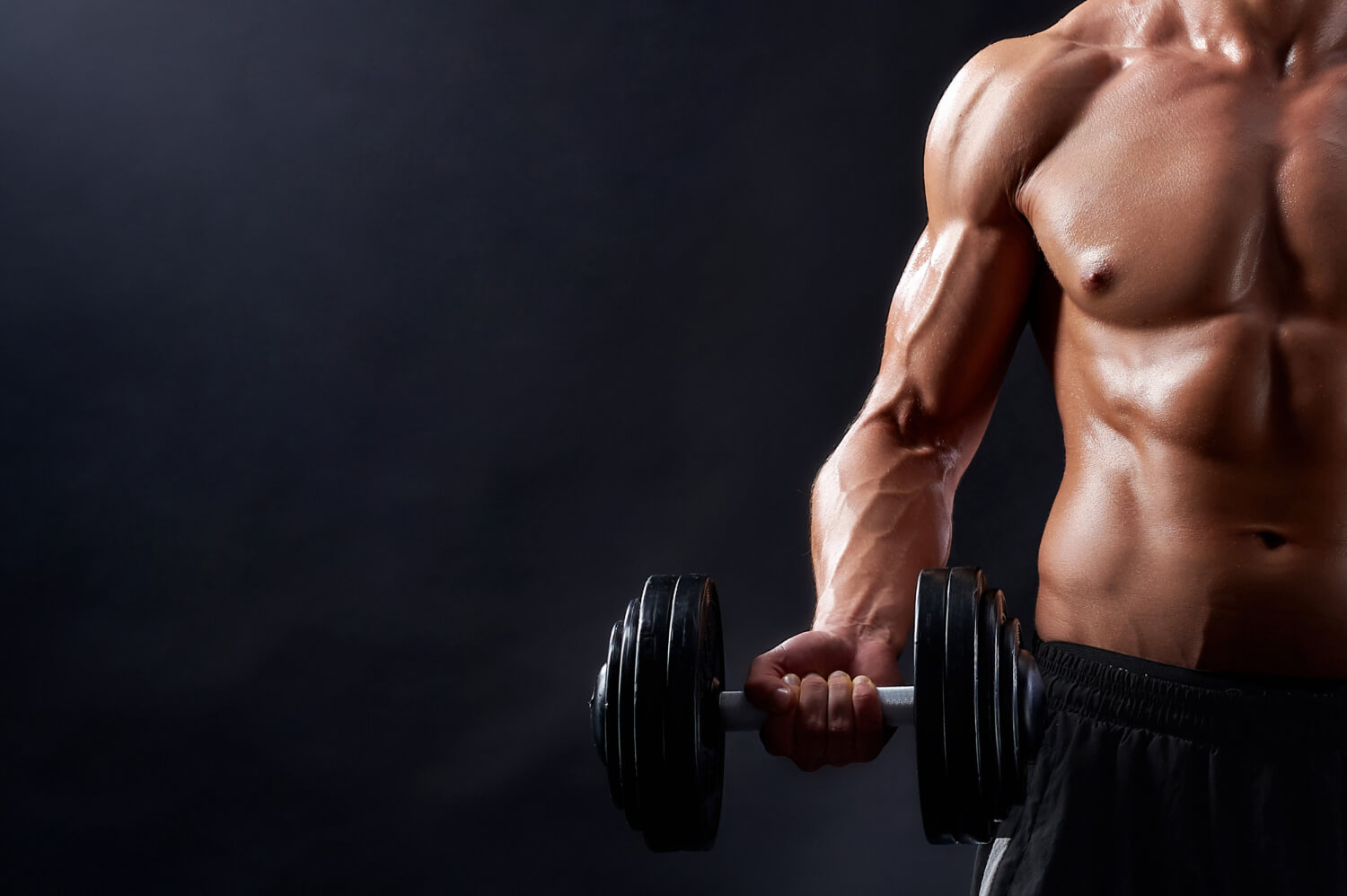Bodybuilding Opti15